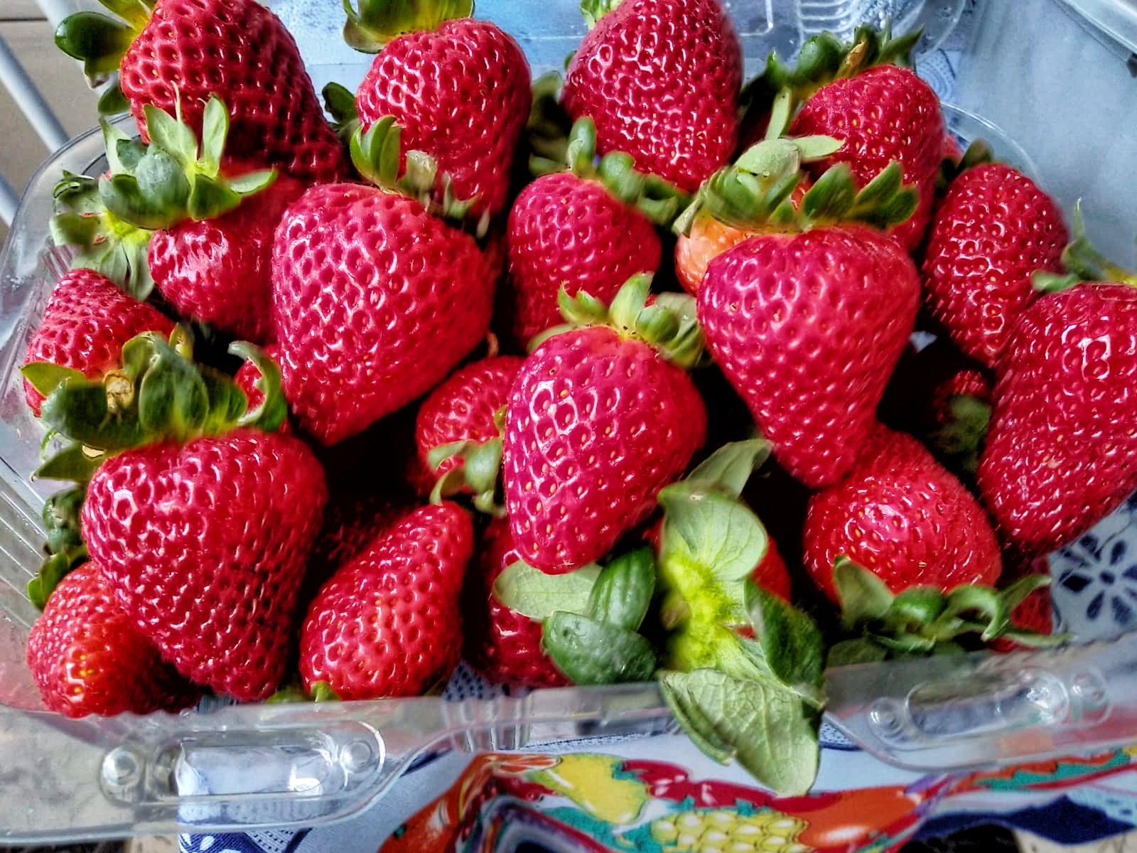 Morango03